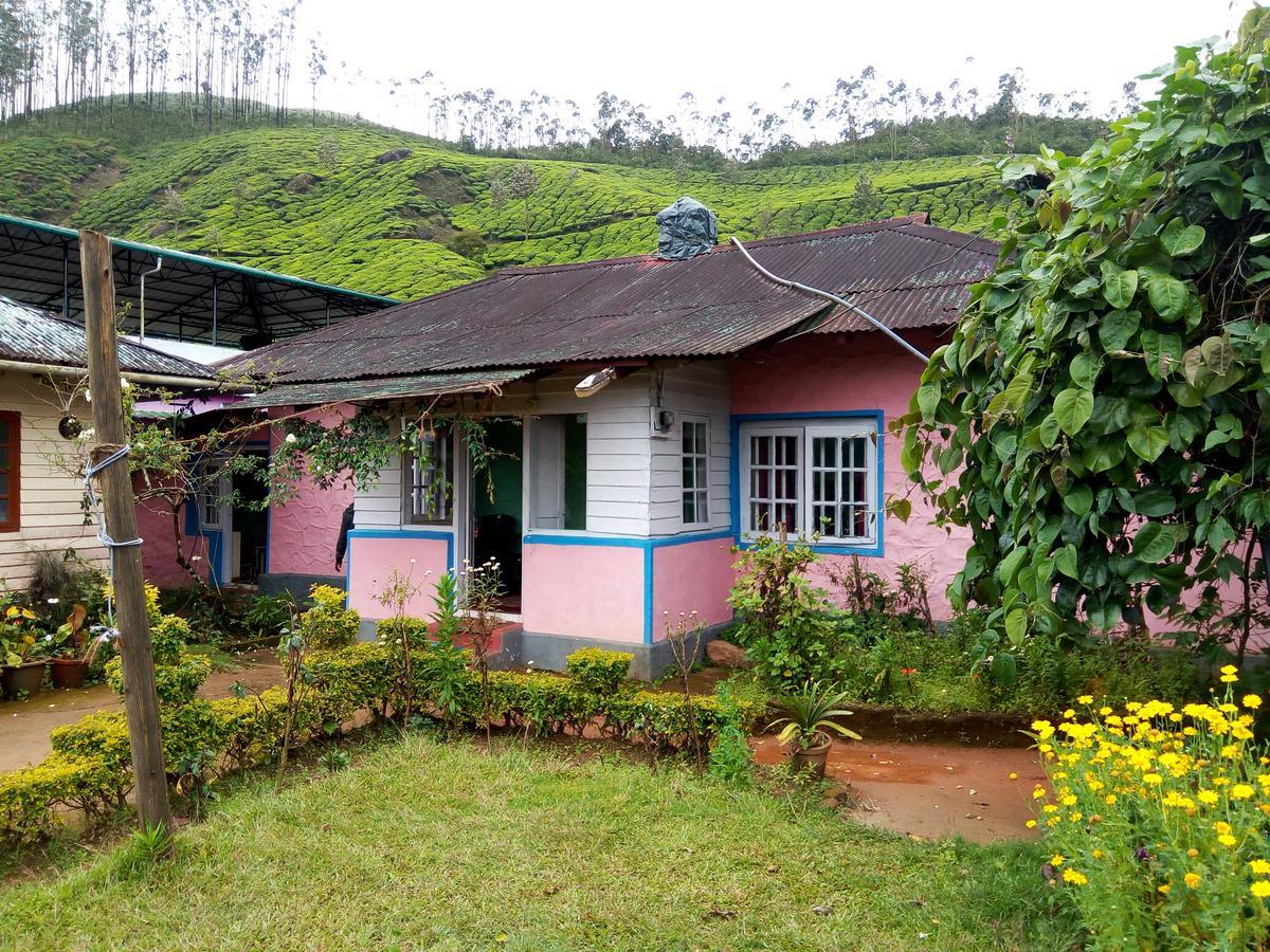 Zina Cottage Munnar Bagian luar foto